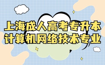 2024年上海成人高考專升本計(jì)算機(jī)網(wǎng)絡(luò)技術(shù)專業(yè)報(bào)名入口